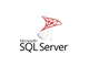 SQL Server 2022 - 1 User CAL (Commercial)